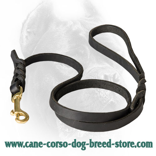 Cane Corso Leash with Fancy Braids