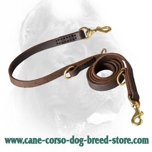 Multipurpose Cane Corso Leash Leather Perfecly Oiled