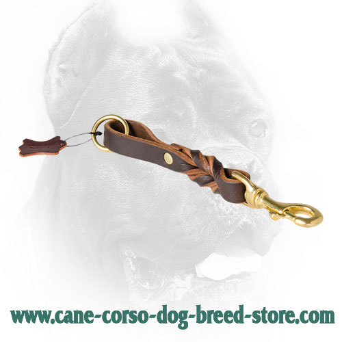 Braided Design Cane Corso Leash