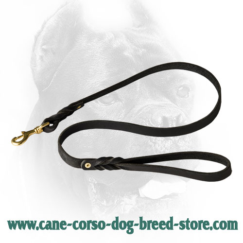 Cane Corso Leash  for Different Activities