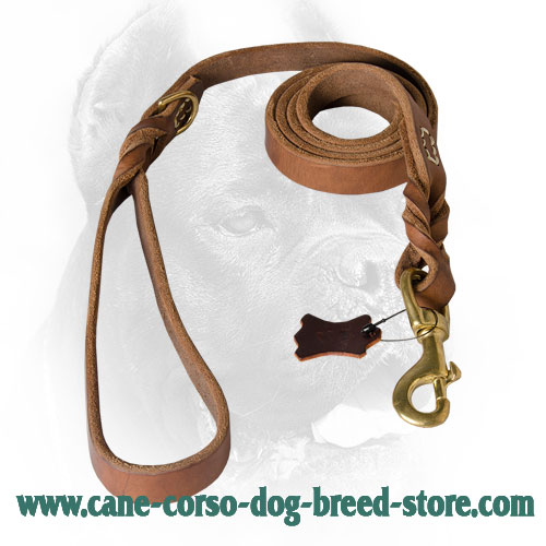 Braided Cane Corso Leash