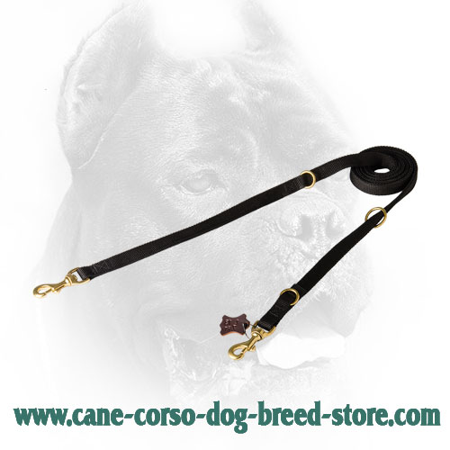 Universal in Use Nylon Cane Corso Leash