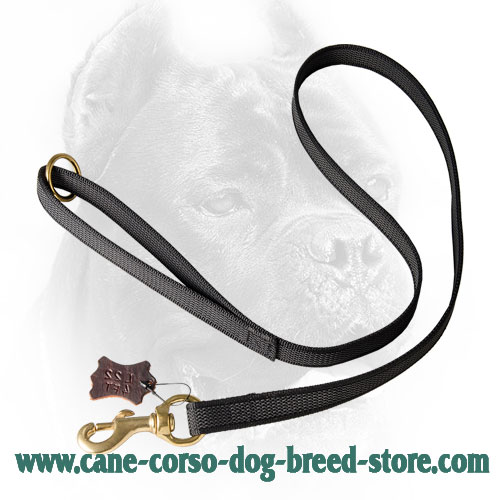 I-Grip Cane Corso Leash Made of Nylon