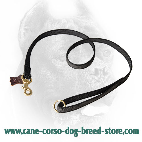 Extra Strong Nylon Cane Corso Leash