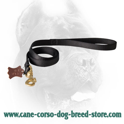 Nylon Cane Corso Leash for Military Service