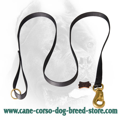 Nylon Cane Corso Leash with Gold-Like Hardware