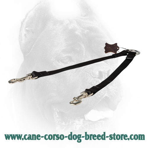 Cane Corso Coupler Stitched for Better Durability