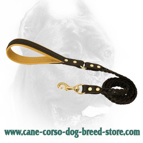 Brand leather dog lead for large dog breeds