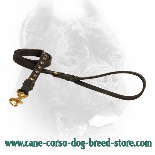 Unique leather dog lead