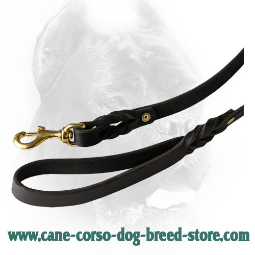 Elegant Braids on Durable Cane Corso Leash