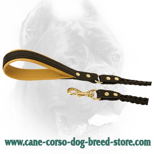 Best leather leash with handle and snap hook