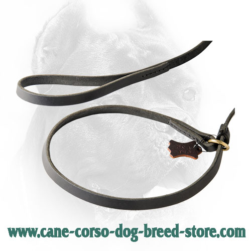 Brass O-Ring on Leather Cane Corso Combo