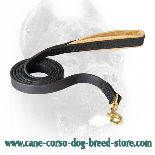 Cane Corso Leash Leather with Padded Handle