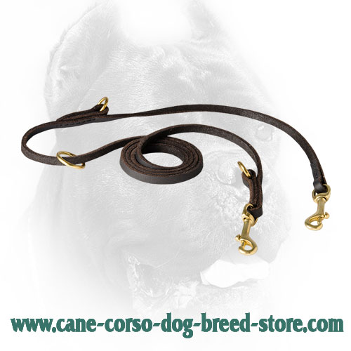 Mulitasking leather dog lead for Cane Corso
