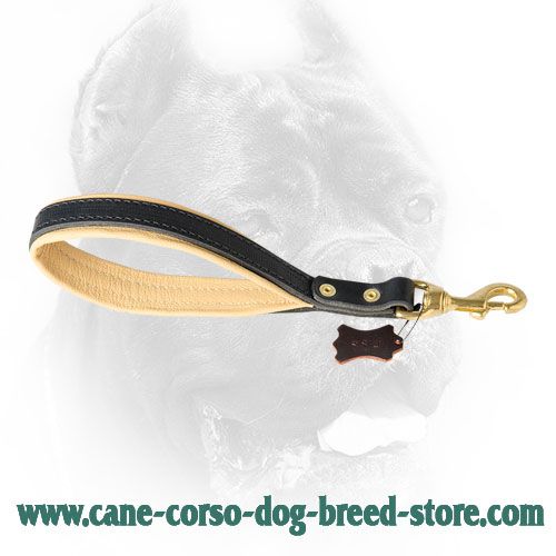 Durable shoert canine leash with comfortable soft handle