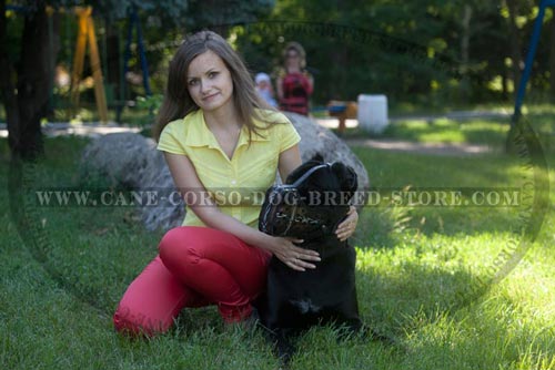 Easy Walking Dog Harness