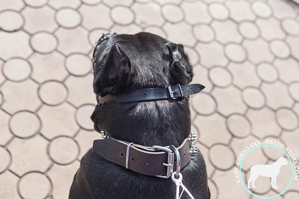 Easy adjustable Cane Corso wire muzzle