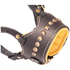 Sophisticated super ventilation leather muzzle