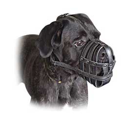 Handmade high quality muzzle for Italian Mastiff  