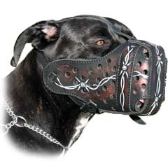 Exclusive top-grade dog muzzle