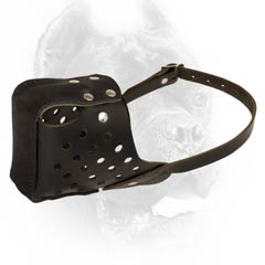 Handmade leather dog muzzle