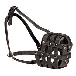 Italian Mastiff lightweight leather muzzle