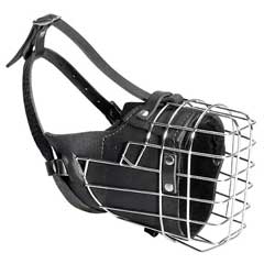 Wire cage dog muzzle with bettwen ears strap 
