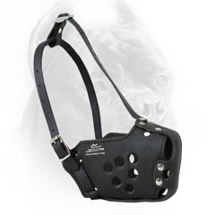 Dog Muzzle Leather for Cane Corso Training