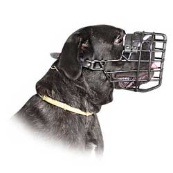 Handmade wire basket muzzle