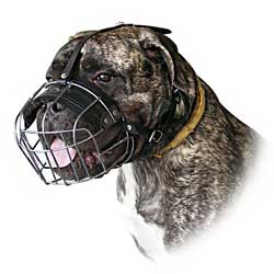 Well-fitting cage wire dog muzzle