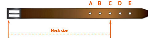 The Best Nylon Collars: Cane Corso Collar with Quick Release Buckle