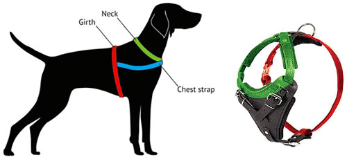 how to measure harness h1