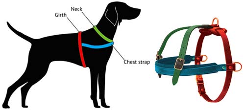 how to measure harness h5