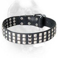 Silver Pyramid Studded Leather Dog Collar for Cane Corso