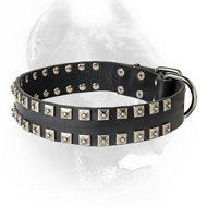 Fashionable Leather Dog Collar with Silverish Studs