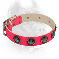 Stud Decorated Pink Leather Dog Collar for Walking