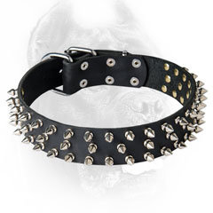 Wide Leather Spiked Dog Collar - Fashionable Design