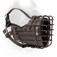 Rubber Covered Metal Basket Cane Corso Muzzle for Winter Activities